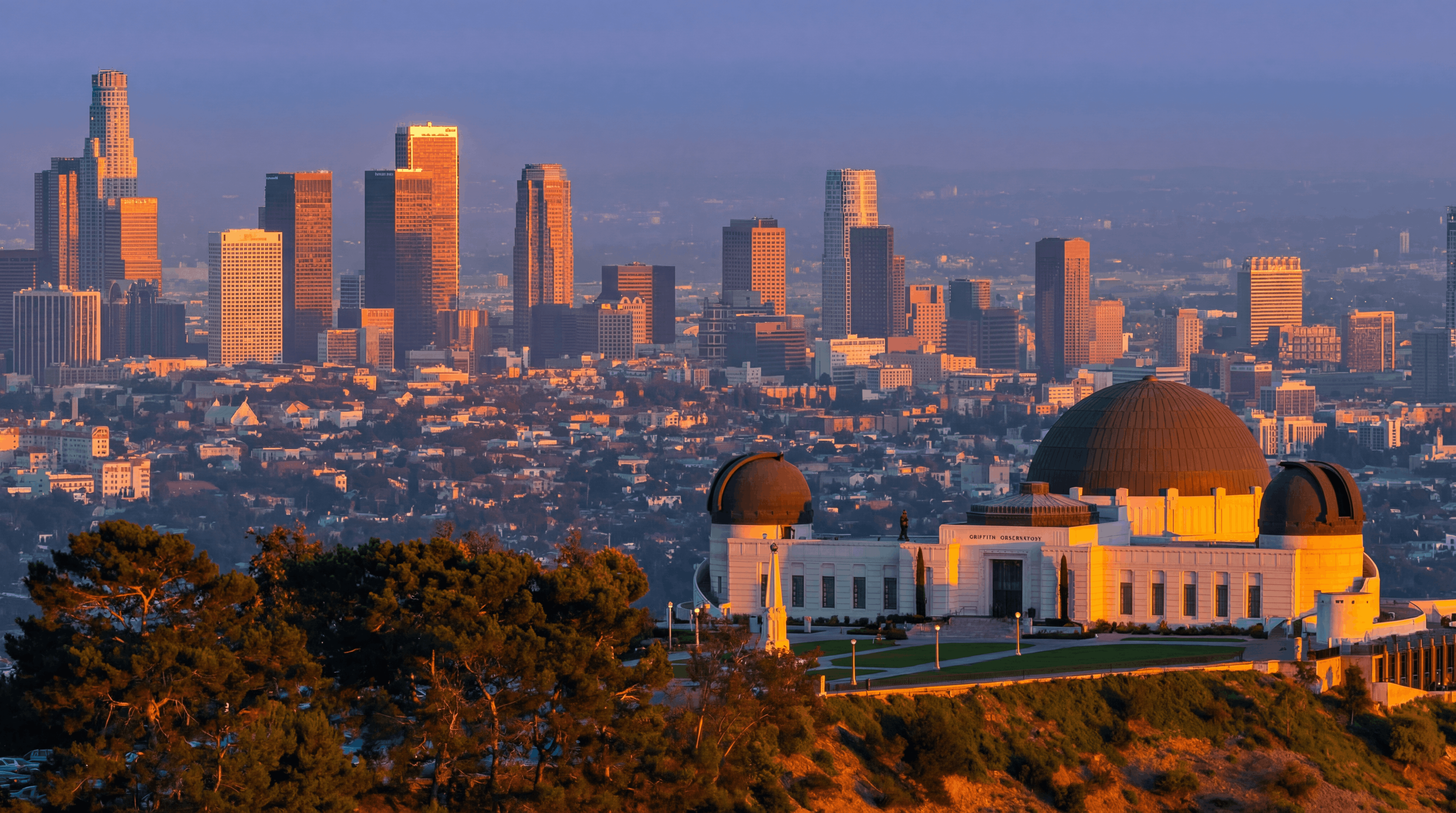 When Trust Moves, Revenue Moves